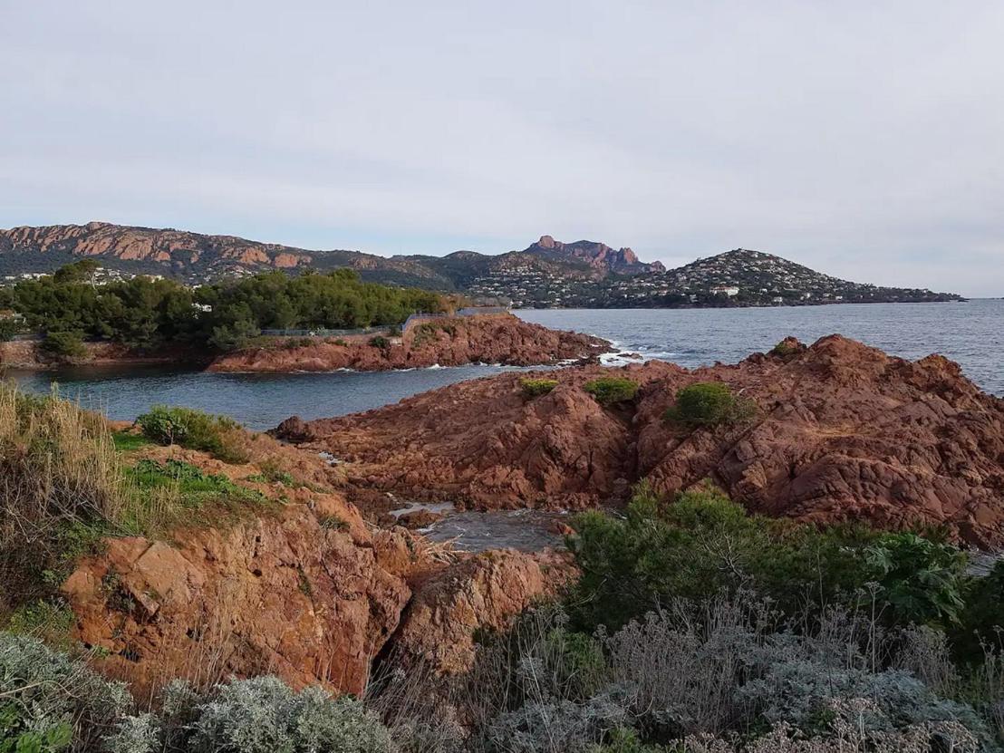 Appartements Modernes Vue Mer A Cap Esterel Saint-Raphaël Eksteriør billede
